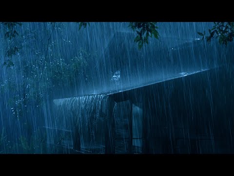 Lull Into Deep Sleep with the Roaring Sound of Rain & Terrible Thunder on the Tin Roof in the Night
