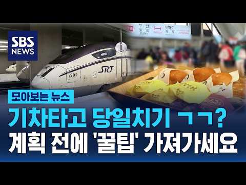 기차타고 당일치기 ㄱㄱ?..계획 전에 '꿀팁' 가져가세요 / SBS / 모아보는 뉴스