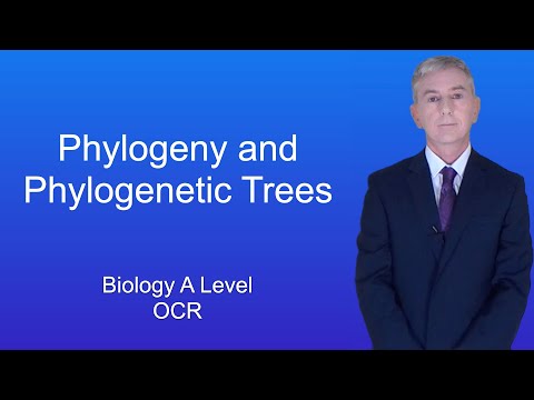 A Level Biology Revision “Phylogeny and Phylogenetic Trees”
