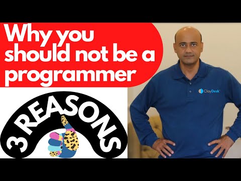 WHY YOU SHOULD NOT BE A PROGRAMMER - Top 3 Reasons