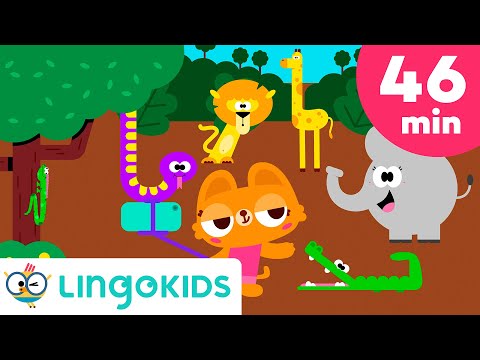 WILD ANIMAL SONGS FOR KIDS 🐘🐒🦒 + More Adventure Songs | Lingokids