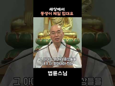 세상에서 동생이 제일 밉대요  #법륜스님즉문즉설  #동생