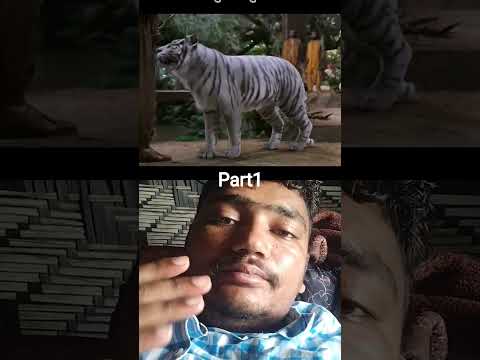 बाग को मार रहे थे राजा #hindi #omg ##############₹