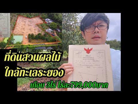 Ep.369ขายที่ดินทำบ้านสวนเกษตร๋