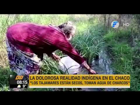 Indígenas del Chaco beben agua de charcos y no son asistidos por el Gobierno