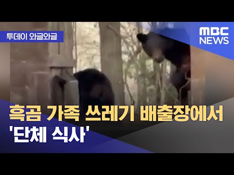 [와글와글] 흑곰 가족 쓰레기 배출장에서 '단체 식사' (2023.04.21/뉴스투데이/MBC)