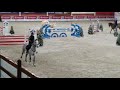 Show jumping horse Getalenteerde 7 jarige CSI lopennde spring merrie te koop