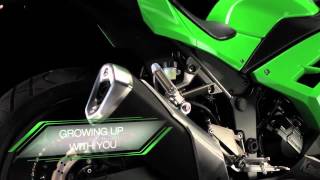 2013 Kawasaki Ninja 300車身細說