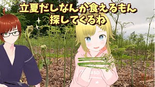 【お酒配信】わらびを愛でて煮物にして酒飲む立夏祭り