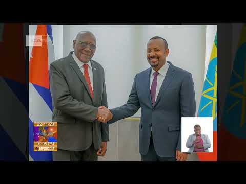 Realiza vicepresidente de Cuba visita oficial a Etiopía