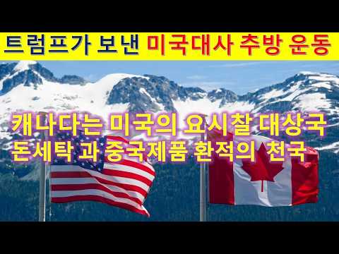 L314 트럼프가 임명한 미국대사 쫓아내기 서명 운동. 캐나다는 미국의 요시찰 대상국.