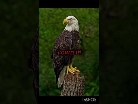 Nature... 🌷🌱 #ytshorts #aestheticeditzz #fypnew #fyppage # #music #subscribe #twinkleberries