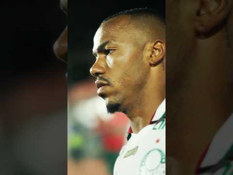 image para ilustrar o artigo