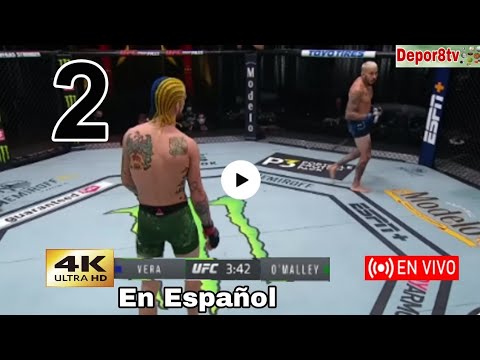 Chito Vera vs. Sean O'Malley en vivo en Español, por el peso gallo UFC 299