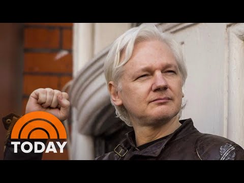 Julian Assange expected to return to Australia after taking plea deal