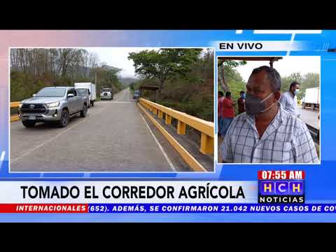 Lecheros de Gualaco se toman Corredor Agrícola denunciando incumplimiento de los artesanales