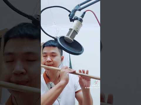 thổi sáo theo yêu cầu