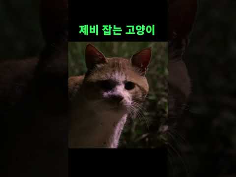 집요하다..!