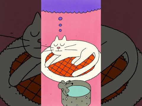 Snooze flash 🐈 🐭 🏝️