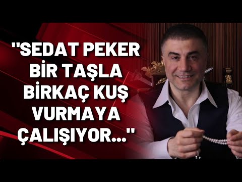 Barış Pehlivan: Sedat Peker bir taşla birkaç kuş vurmaya çalışıyor...