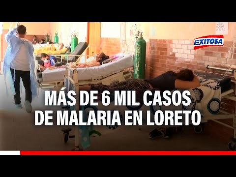Loreto: Se registran 6 500 casos de malaria