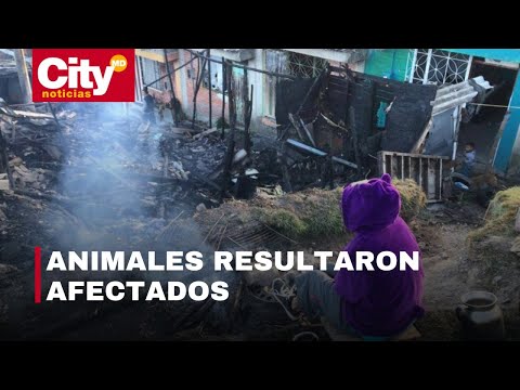 Incendio en el barrio Santa Viviana dejó 11 casas consumidas por el fuego | CityTv