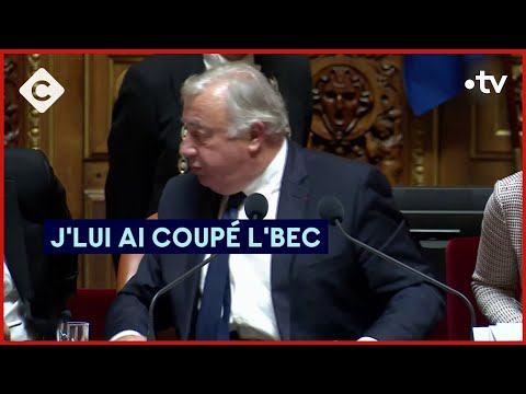 Grosses tensions entre Agnès Pannier-Runacher et Gérard Larcher - L’ABC - C à Vous - 29/02/2024