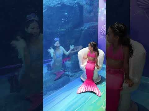 Haan ji bilkul pyaar karenge #cute #love #edit #trending #viral #adorablevideo #youtuber #yt #short