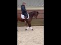 Dressage horse Mooie merrie Fontaine tn  x Jazz