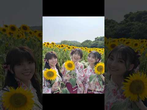 ひまわりのように明るい笑顔の温泉むすめ #南知多町 #花ひろば #松井恵理子 #松田颯水 #高野麻里佳