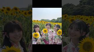 ひまわりのように明るい笑顔の温泉むすめ #南知多町 #花ひろば #松井恵理子 #松田颯水 #高野麻里佳