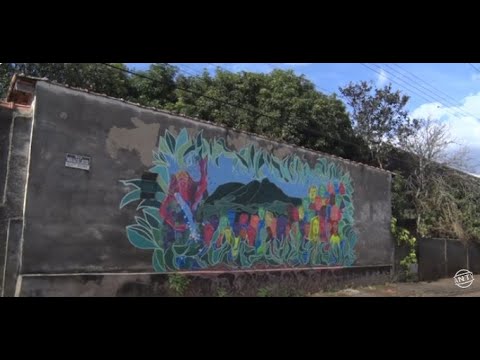 Muro da diversidade chama a atenção pelas cores e criatividade do artista João Manzoli