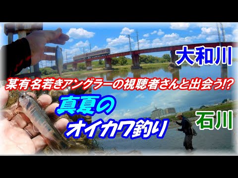 【真夏のオイカワ釣り】ヤバい！大和川&石川でオイカワを沢山釣ってやる！秦拓馬さんが以前いたあの有名釣具メーカーの若きアングラー・インスタ1.3万人フォロワーの視聴者さんと出会う！？大雨に納竿・・・