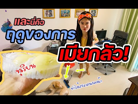 แกล้งแฟน!!ฤดูของการเมียกลัวมาล แกล้งแฟน!!ฤดูของการเมียกลัวมาล
