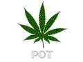 Joe Biden - Please put your foot in your mouth about pot!