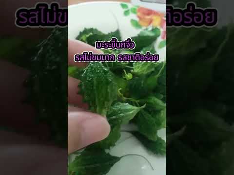 เมล็ดพันธุ์มะระขี้นกจิ๋วสั่งซ