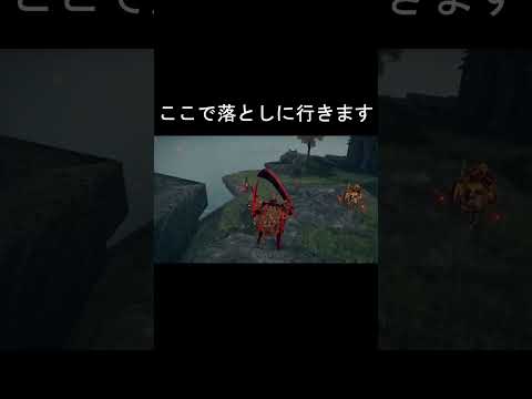 エルデンリング 地獄の侵入　出待ちホスト戦意喪失！  ELDEN RINGDLC #elden #eldenringdlc #ダクソ3