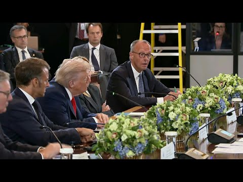 Merz urges ceasefire before three-way Ukraine-Russia-US summit | AFP