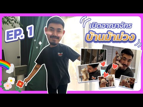 ม้าม่วง channel ม้าม่วง:เปิดบ้านEP1