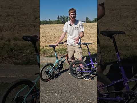 🐪Bike Friday All-Packa vs 🦙Bike Friday Diamond Llama: Side-by-Side Breakdown,