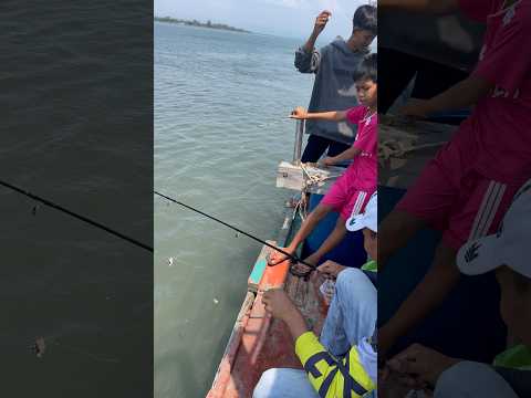 Smallest of fish 🐠 #shortvideo #trending #reels #viralvideo #food #fishing #funny