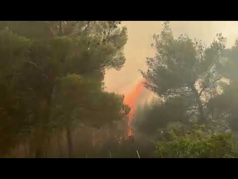Το CNN Greece στη φωτιά της Αγίας Σωτήρας στη Μάνδρα