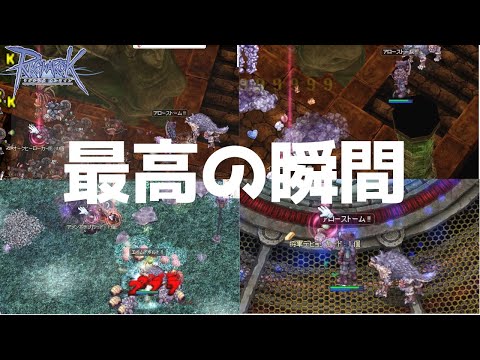 【RO】今日ボスカードが出ます（予言）