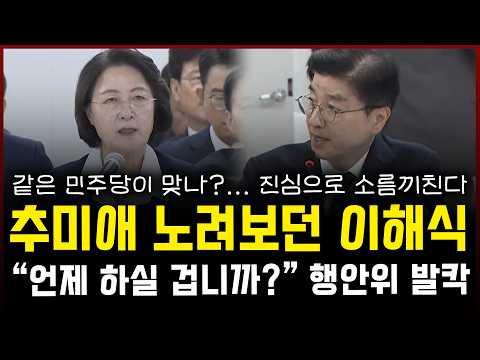 추미애 향해 막말 쏟아내는 <strong>민주당</strong> 이해식... 재정 <strong>위기</strong> 책임론 운운하더니, "언제 하실 겁니까?" 진심으로 소름끼친다
