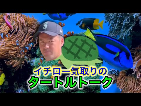 イチロー気取りのタートルトーク