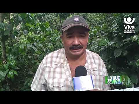 Carlos Alberto López promueve cultivo de café en Jinotega