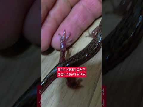 찬바람이 불때쯤 찾아오는 귀여운 <strong>생물</strong>
