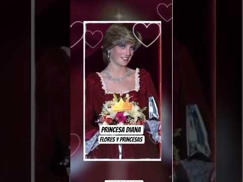 Princesa Diana 💛🩷 #princesadegales #love #royalfamily