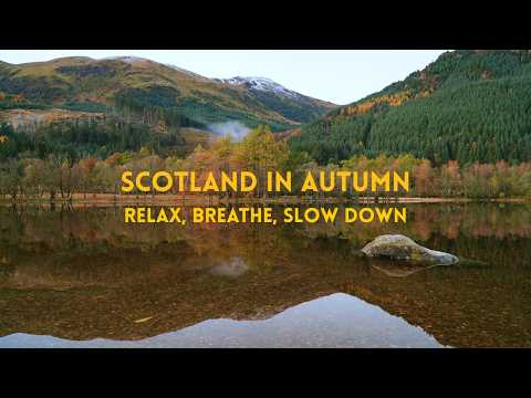 Autumn in Scotland | A Moment of Calm