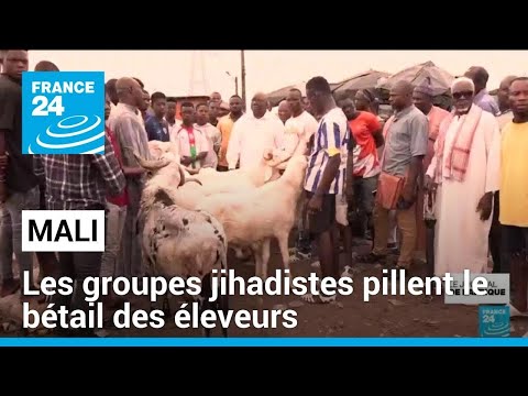 Mali : les groupes jihadistes pillent le bétail des éleveurs • FRANCE 24